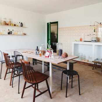 Ave del Paraíso. Lancelot